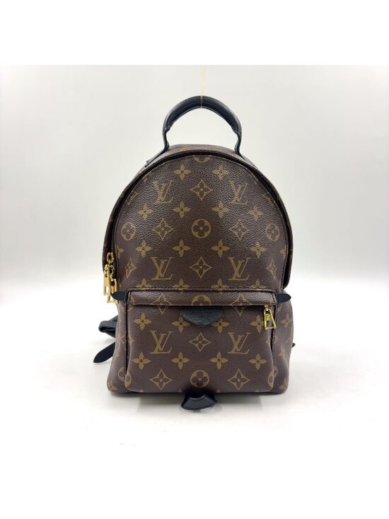Louis Vuitton Palm Springs PM Monogram Leather Brown Black Backpack Gold main image 12